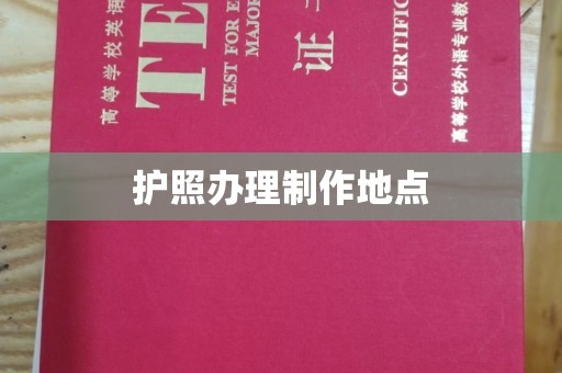 荔湾护照办理制作地点